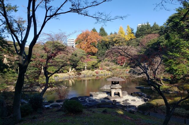 旧古河庭園の紅葉の見どころ｜見晴台周辺のもみじ