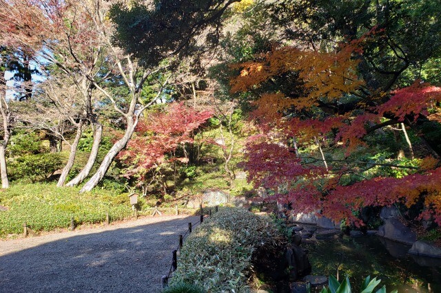 旧古河庭園の紅葉の見どころ｜大滝周辺のもみじ