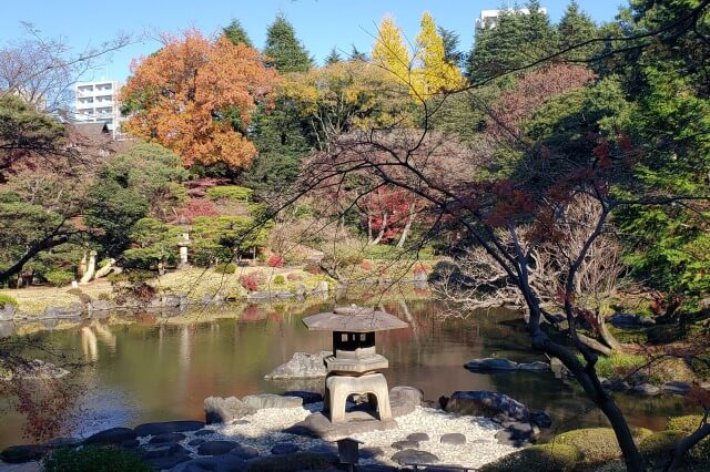 旧古河庭園の紅葉の見頃と見どころ 