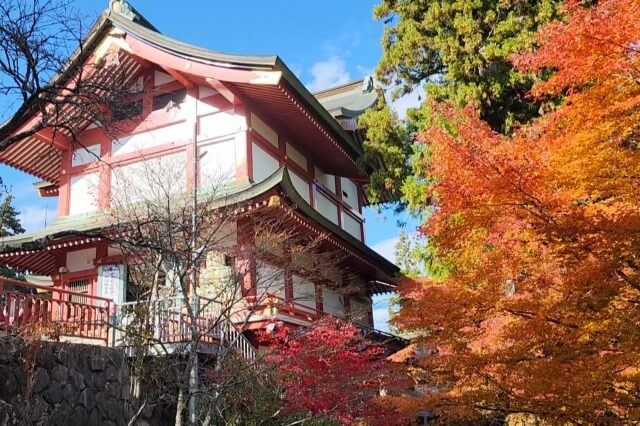 御岳山の紅葉の見頃と見どころ