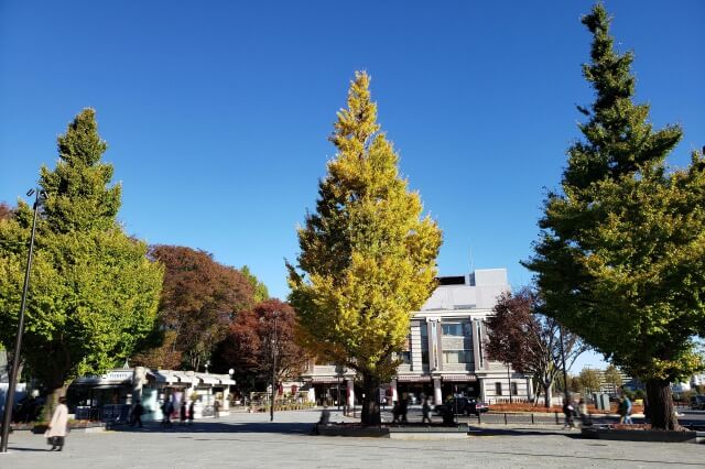 上野(恩賜)公園の紅葉スポット｜JR上野駅周辺のイチョウ