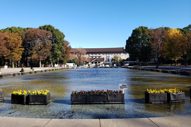 上野(恩賜)公園の紅葉スポット｜大噴水(噴水池)周辺の紅葉