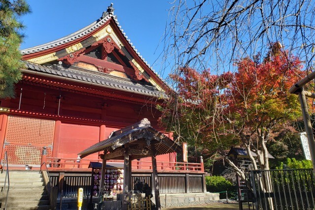 上野(恩賜)公園の紅葉スポット｜清水観音堂の紅葉