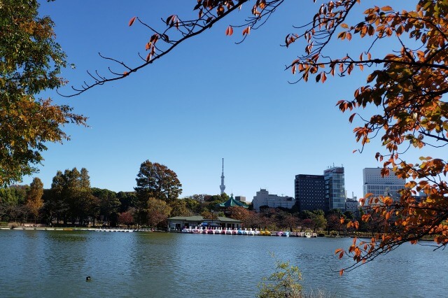 上野(恩賜)公園の紅葉スポット｜不忍池の紅葉