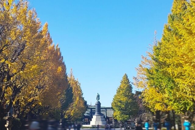 第一鳥居（大鳥居）～大村益次郎銅像