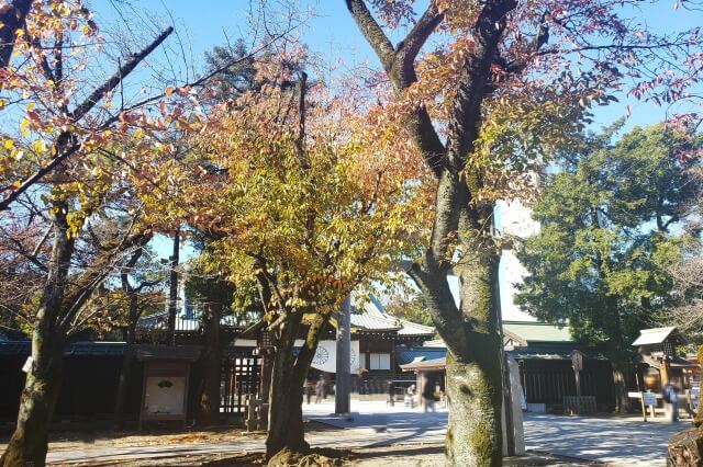 神門～中門鳥居（拝殿前）