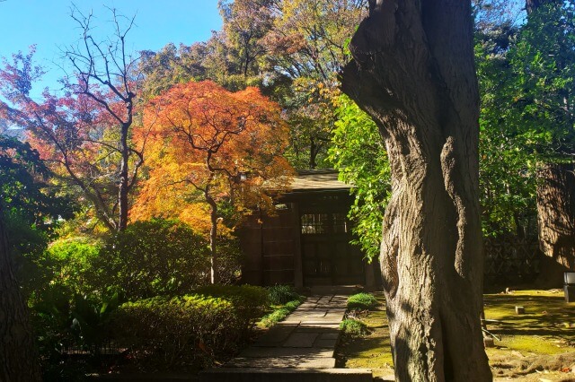 中門鳥居（拝殿前）～神池庭園