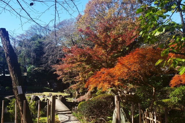 神池庭園の紅葉