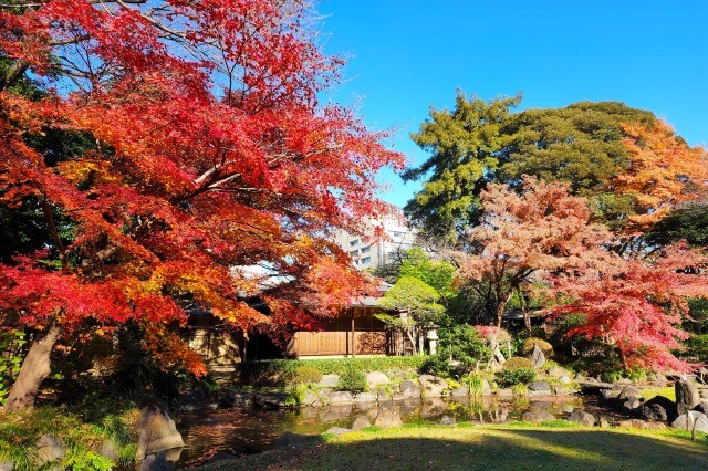 神池庭園の紅葉