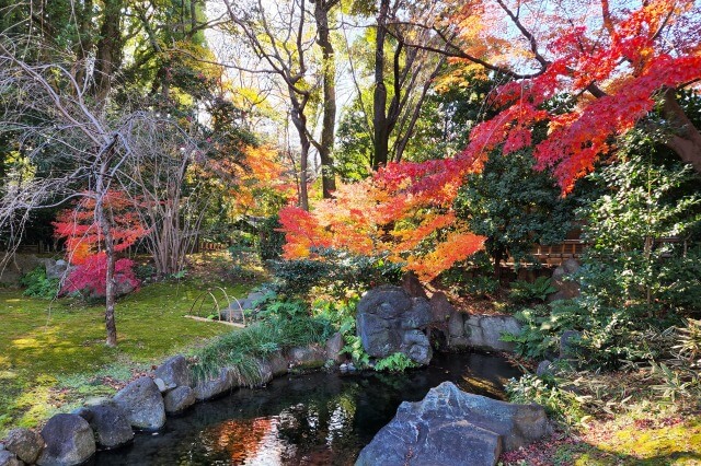 神池庭園の紅葉