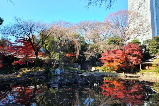 神池庭園の紅葉