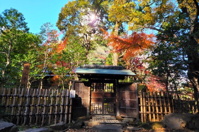 洗心亭の紅葉