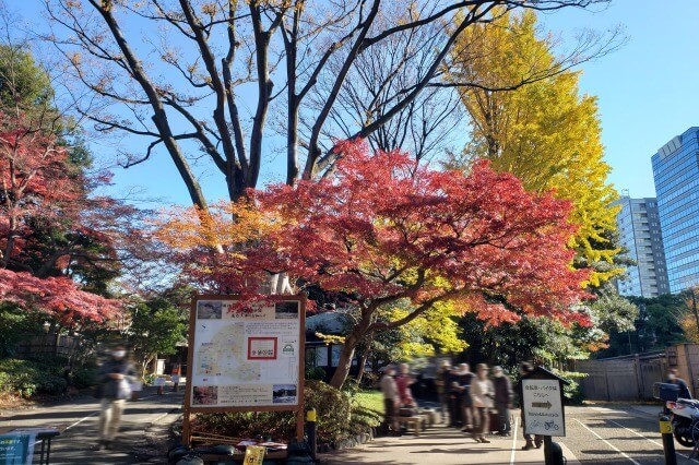 小石川後楽園の紅葉の見どころ｜出入口周辺のもみじとイチョウ