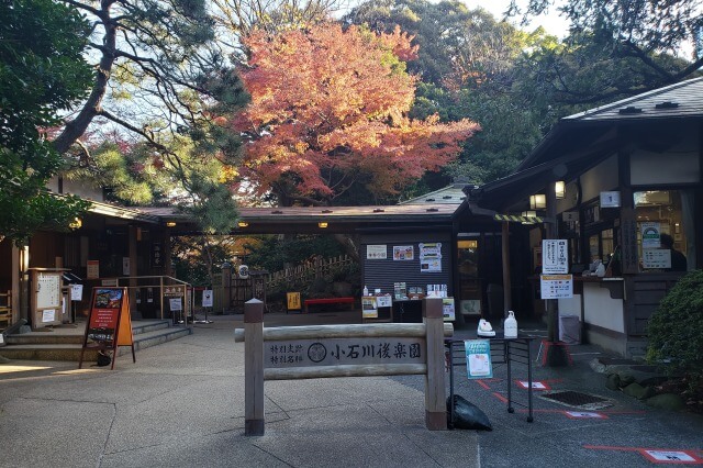 小石川後楽園の紅葉の見どころ｜出入口周辺のもみじとイチョウ