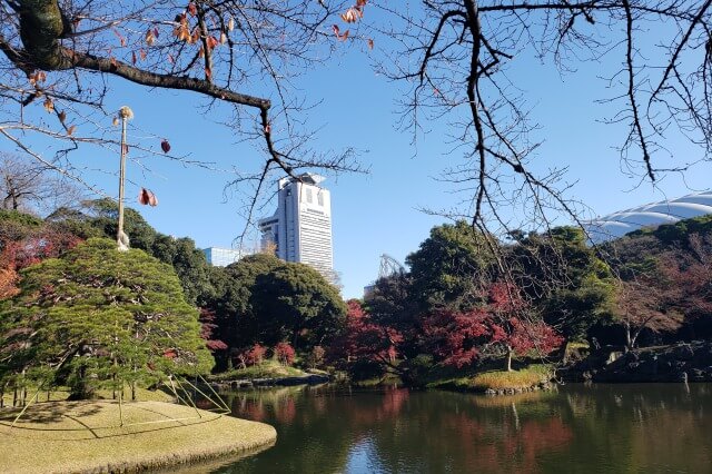 小石川後楽園の紅葉の見どころ｜大泉水周辺のもみじ