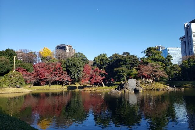 小石川後楽園の紅葉の見どころ｜大泉水周辺のもみじ