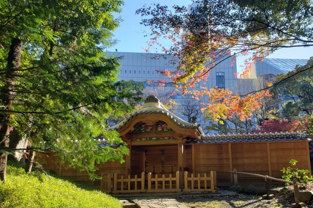 小石川後楽園の紅葉の見どころ｜唐門・内庭周辺のもみじとイチョウ