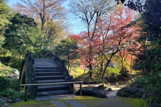 小石川後楽園の紅葉の見どころ｜円月橋周辺のもみじ