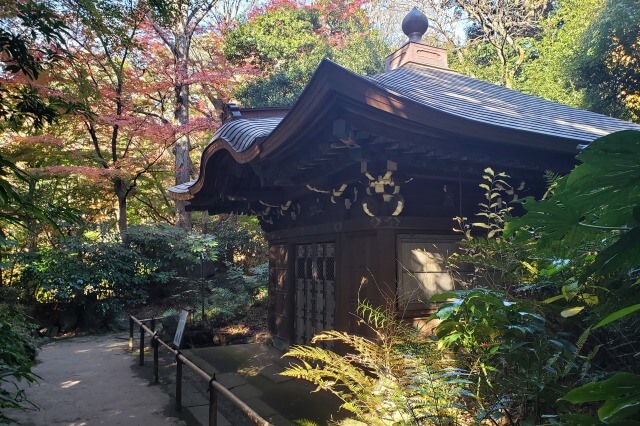 小石川後楽園の紅葉の見どころ｜得仁堂周辺のもみじ