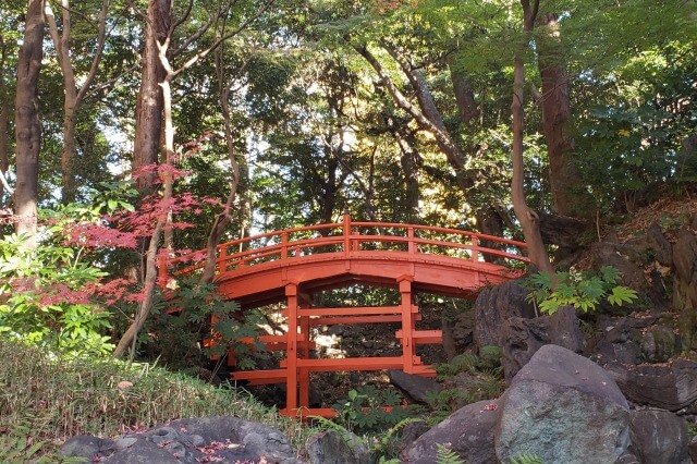 小石川後楽園の紅葉の見どころ｜通天橋周辺のもみじ