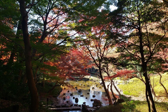 小石川後楽園の紅葉の見どころ｜通天橋周辺のもみじ