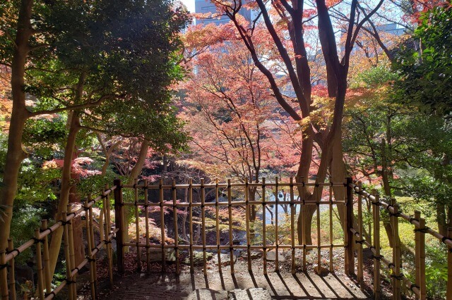 小石川後楽園の紅葉の見どころ｜清水観音堂