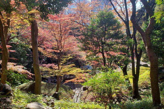 小石川後楽園の紅葉の見どころ｜清水観音堂