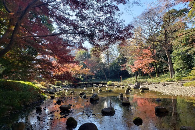 小石川後楽園の紅葉の見どころ｜大堰川周辺のもみじ