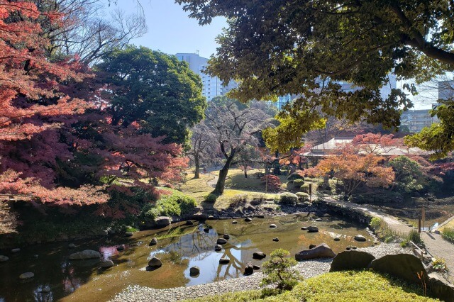 小石川後楽園の紅葉の見どころ｜大堰川周辺のもみじ