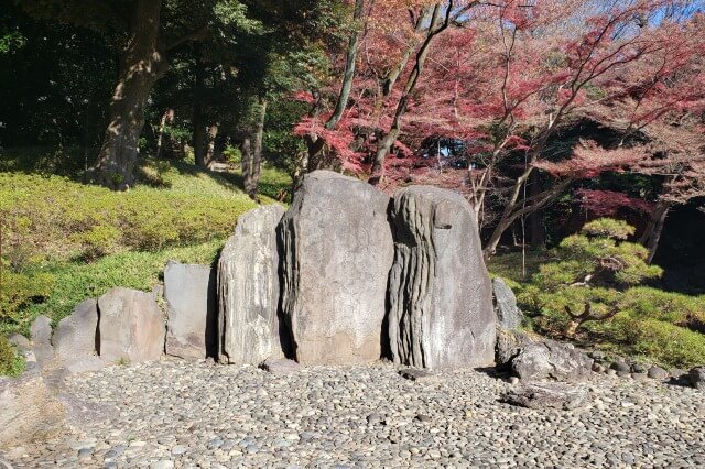 小石川後楽園の紅葉の見どころ｜屏風岩周辺のもみじ