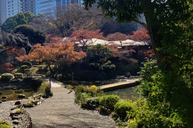 小石川後楽園の紅葉の見どころ｜渡月橋周辺のもみじ