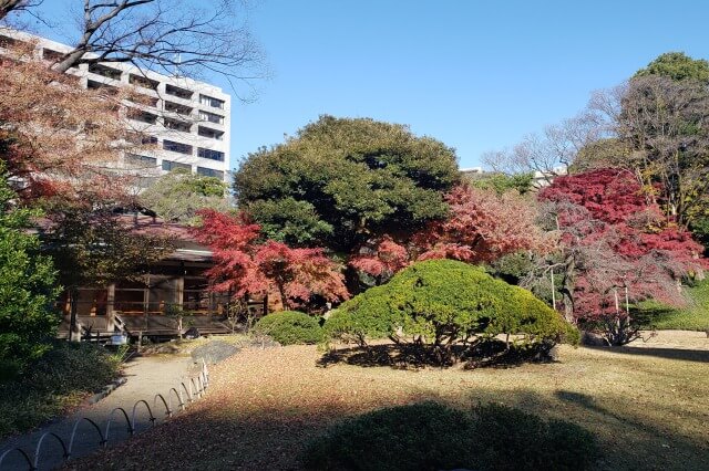 小石川後楽園の紅葉の見どころ｜涵徳亭周辺と涵徳亭から見たもみじ