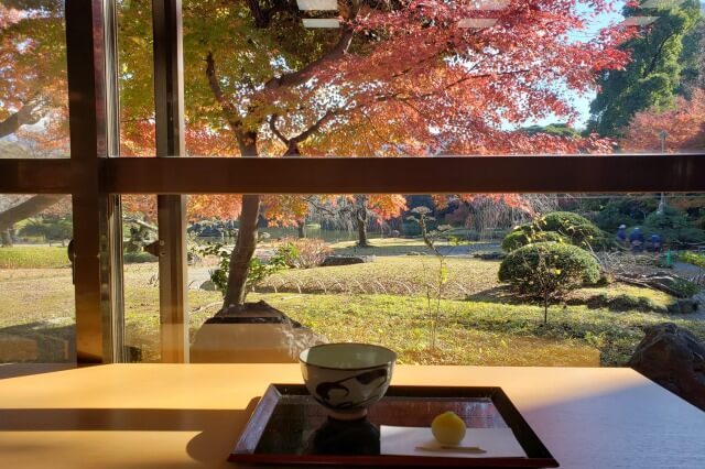 小石川後楽園の紅葉の見どころ｜涵徳亭周辺と涵徳亭から見たもみじ