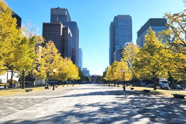 行幸通りのイチョウ並木の紅葉