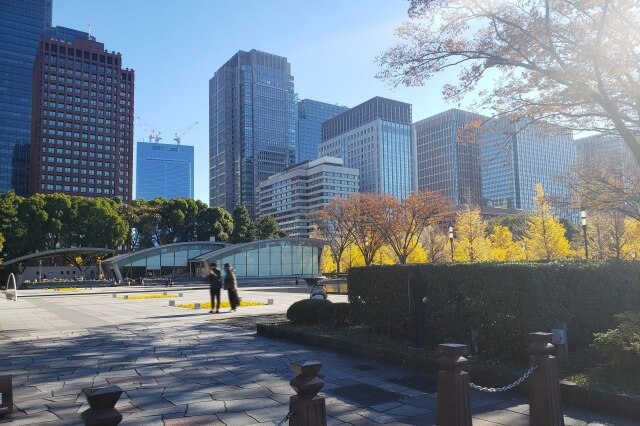 和田倉噴水公園のイチョウの紅葉