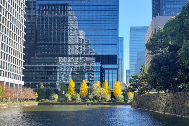 和田倉噴水公園のイチョウの紅葉