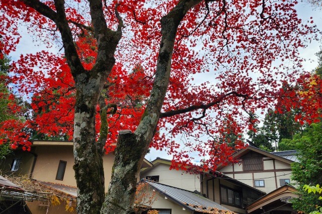 御岳山の民宿