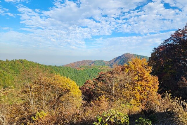 岳山の長尾平