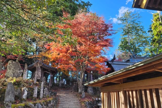 御岳山の武蔵御嶽神社