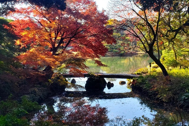 六義園(駒込)の紅葉