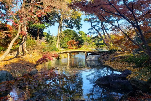 千鳥橋周辺のもみじとイチョウ