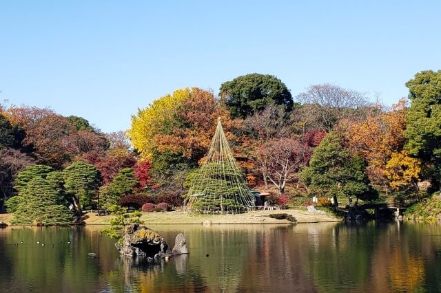 蓬莱島周辺のもみじ