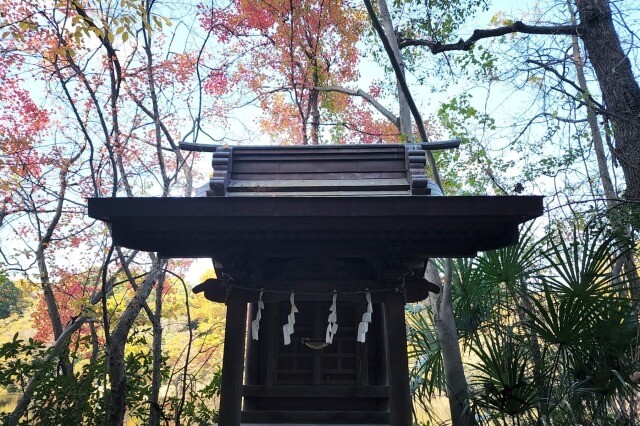 水神社とモミジ