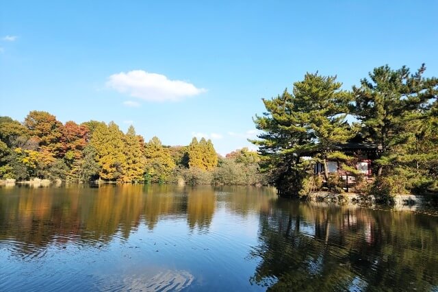 厳島神社周辺の紅葉