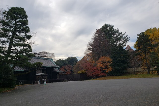 皇居東御苑の紅葉の見どころ｜乾門周辺のもみじ