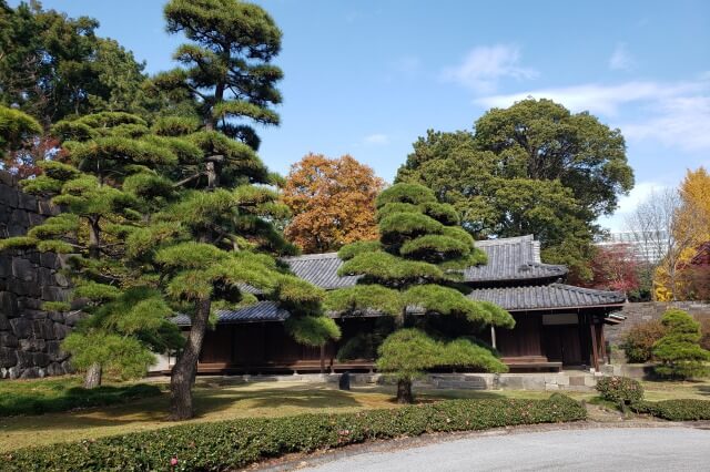 皇居東御苑の紅葉の見どころ｜江戸城中之門跡周辺のもみじやイチョウ