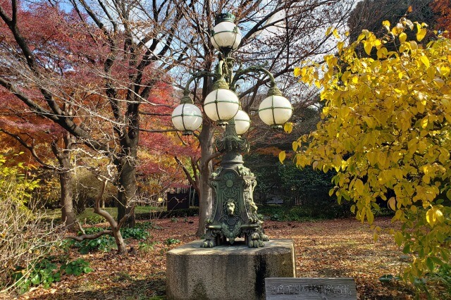 皇居東御苑の紅葉の見どころ｜皇居正門石橋旧飾電燈周辺のもみじ