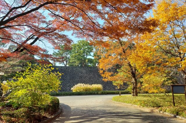 皇居東御苑の紅葉の見どころ｜皇居正門石橋旧飾電燈周辺のもみじ