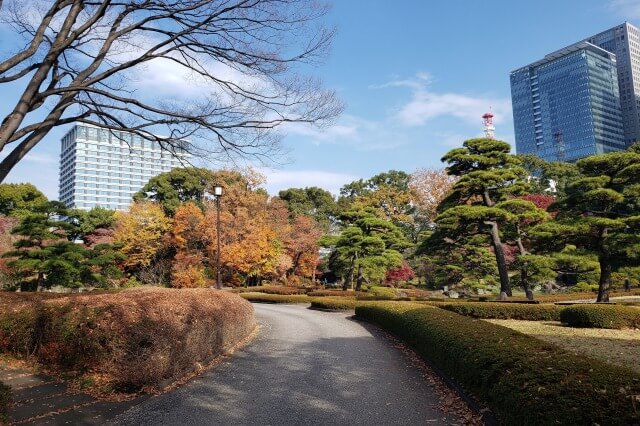 皇居東御苑の紅葉の見どころ｜江戸城二の丸庭園周辺のもみじ