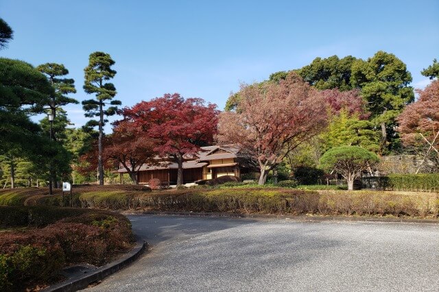 皇居東御苑の紅葉の見どころ｜諏訪の茶屋周辺のもみじ